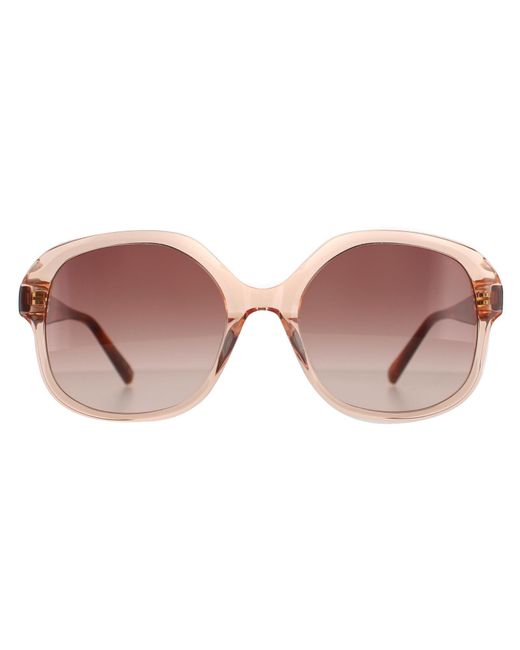 Ted Baker TB1746 001 Sunglasses in Black | SmartBuyGlasses USA
