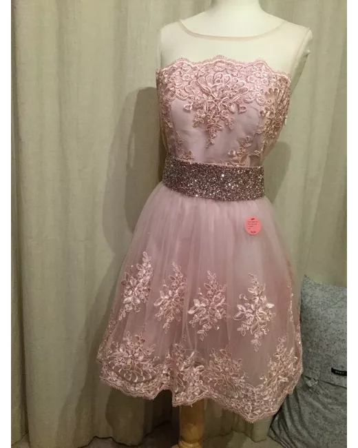 Chi Chi London Bnwt 70 Baby Lace Netted Prom Dress 10 Sparkly Belt in Pink  | Stylemi