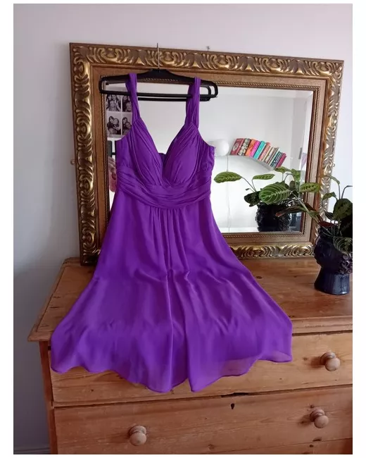 sachin and babi light blue dress Queen Status - Perth Designer Dress Hire - Roseate Mini Dress