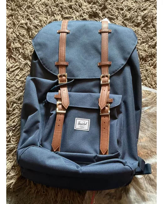 Herschel Backpacks for Men | Stylemi