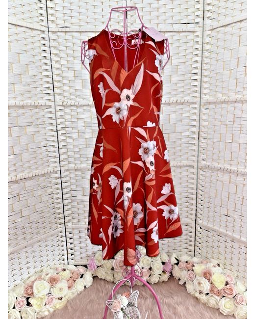 strapless open back dress Structured Puff Sleeve Knitted Skater Dress | Jescka main image 1