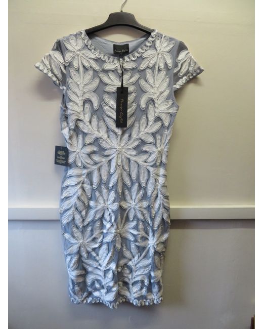 Phase Eight Penelope Tapework Lace Fit And Flare Dress 20 RRP 250 | Stylemi