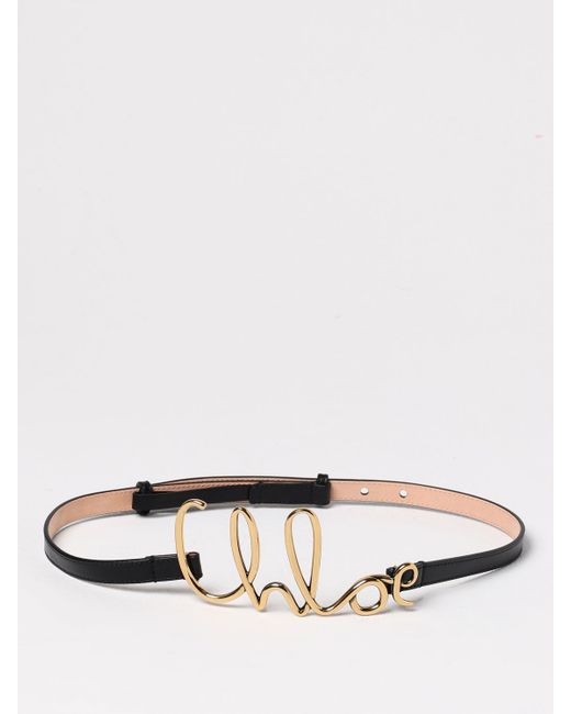 Chloé lizard-effect belt in Brown | Stylemi