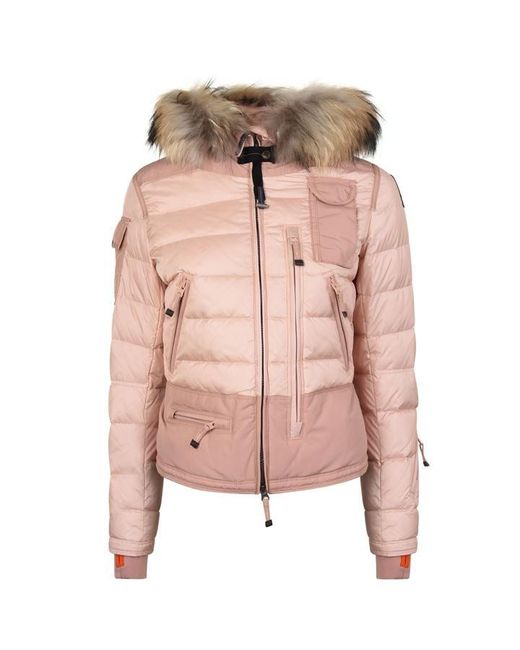 parajumper jacket pink